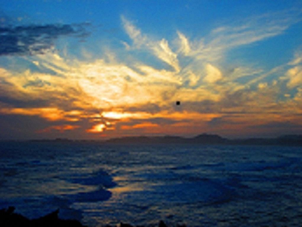 Appartamento 110 Bay View Brenton-on-Sea Esterno foto