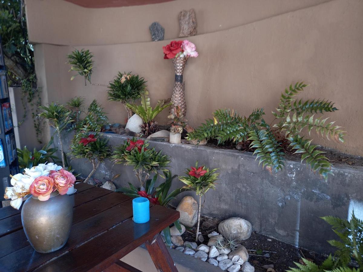 Appartamento 110 Bay View Brenton-on-Sea Esterno foto